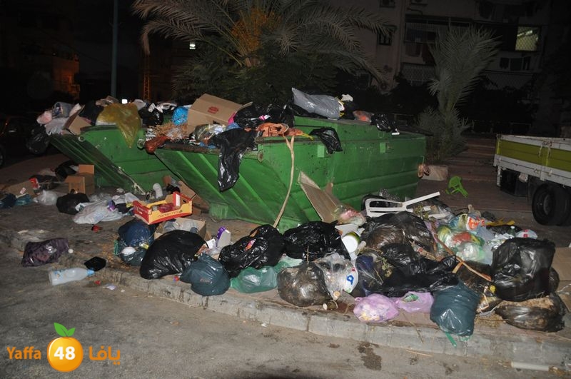 trash lud 907 (28).JPG